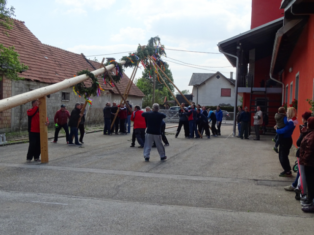 DSC05032